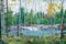Oxtounge Rapids Poster Print by Graham Forsythe - Item # VARPDXFGP114